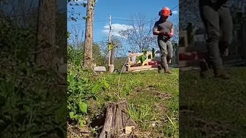 Jacking over a dead Ash surrounded by power lines