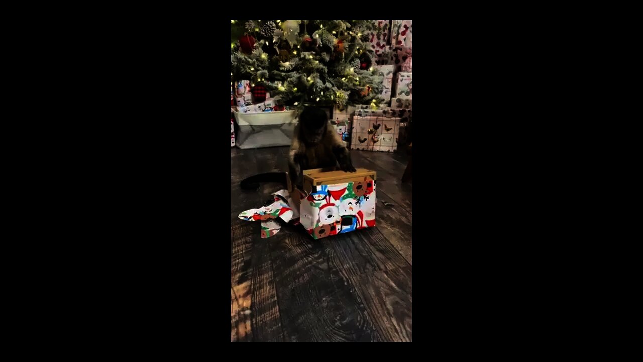 Christmas Eve!! Gifts from my Frans!!!