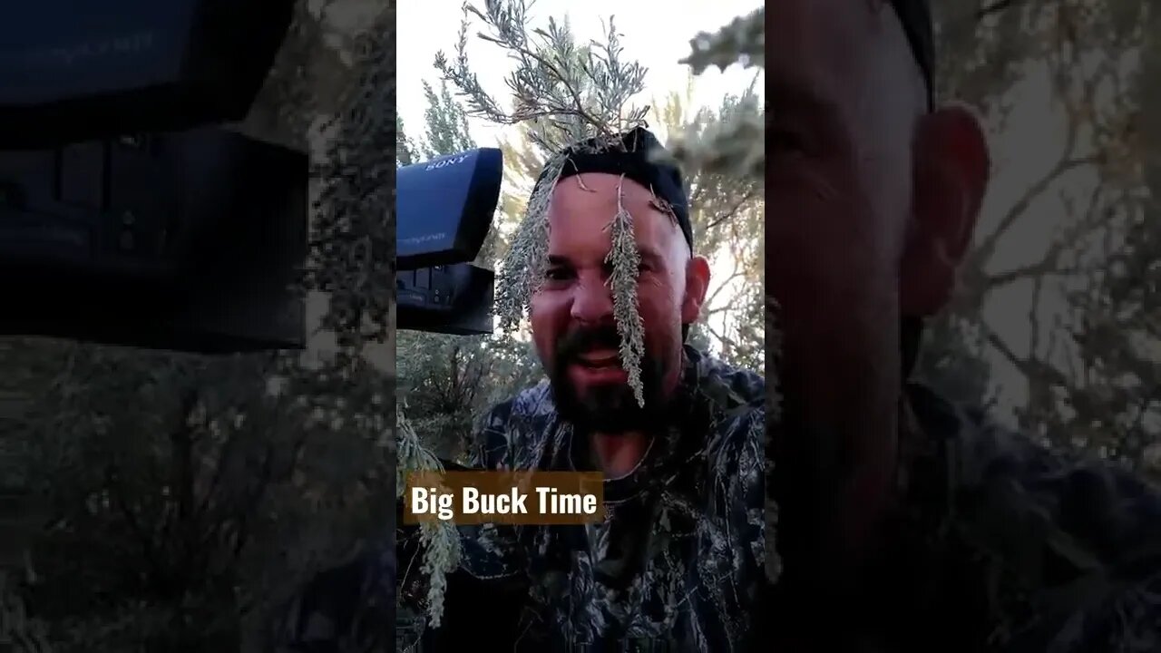 Big Buck Time. . .On Camera Baby On Camera!!