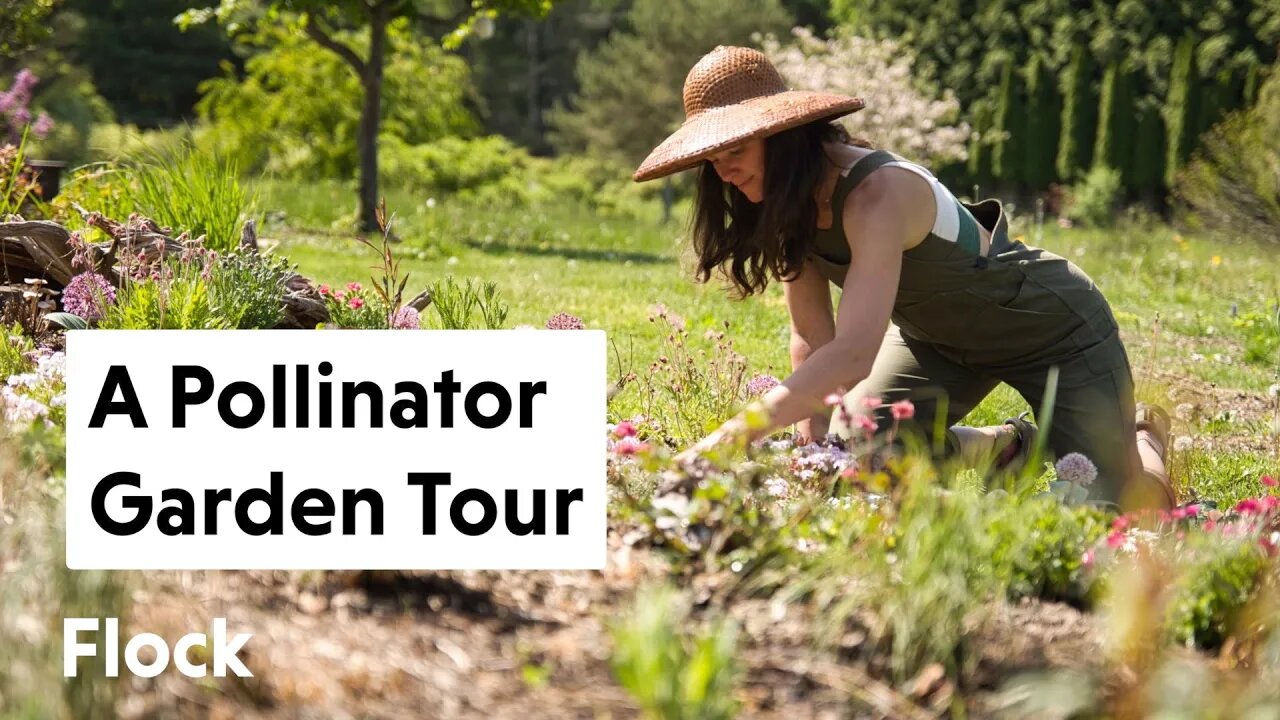 MAY Tour of POLLINATOR GARDEN — Ep. 097