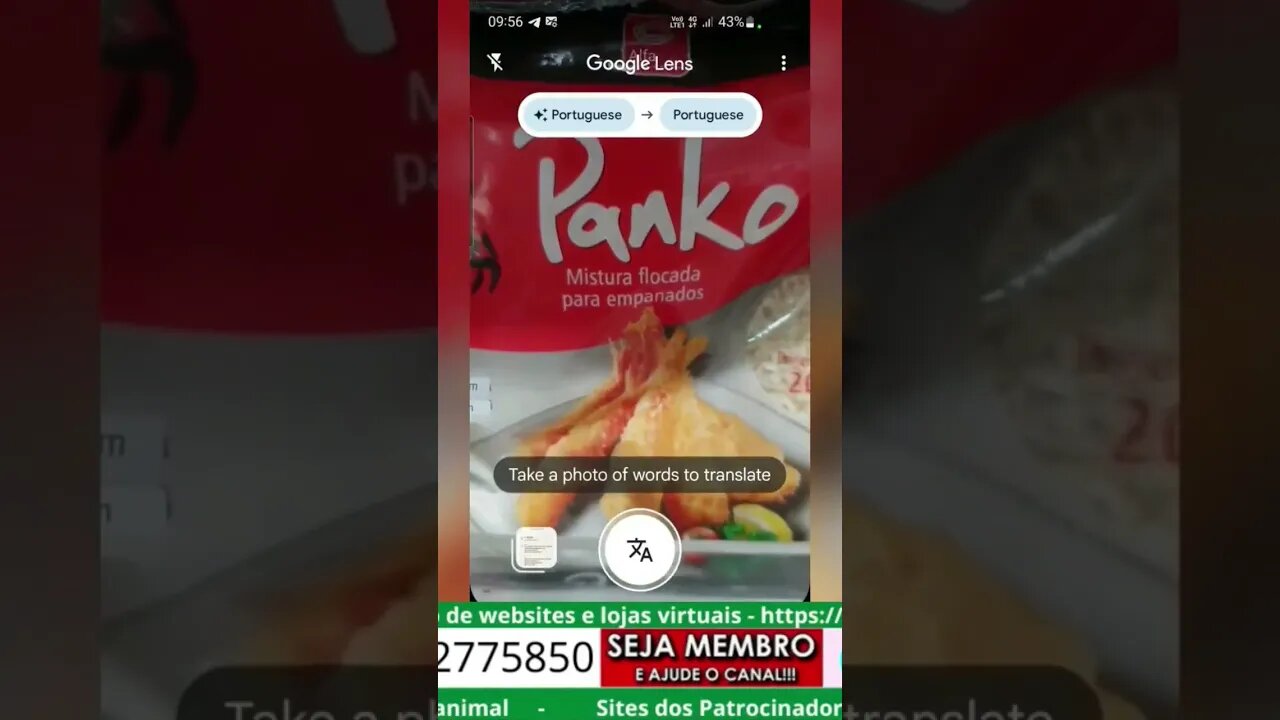 Google Lens é multitool de tradução leitor de QR code ferramenta de pesquisa e muito mais