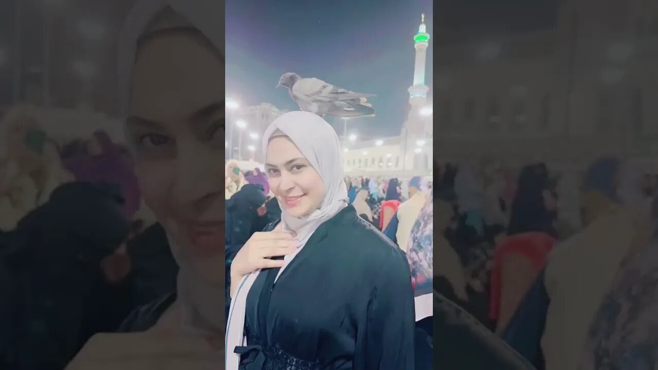 Khana kaba me ladki jab namaz padh rhi thi to kabotar us k opar beth gya 🕋 || hajj live update 2023