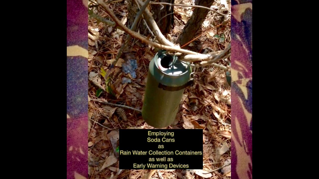 Soda Cans for Collecting Rain Water and as early warning around your campsite.