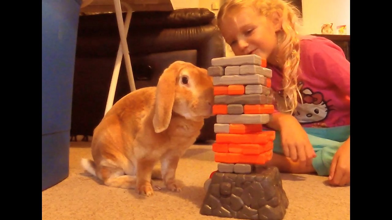 Bunny rabbit plays Jenga with little girl