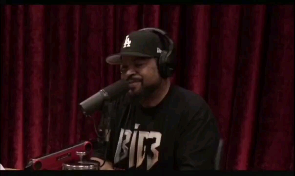Ice Cube is a fan of Bobby Kennedy Jr, says the independent candidate for president