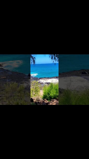 C THE BEAUTY OF KAUA’I ON 🐚🏄‍♀️