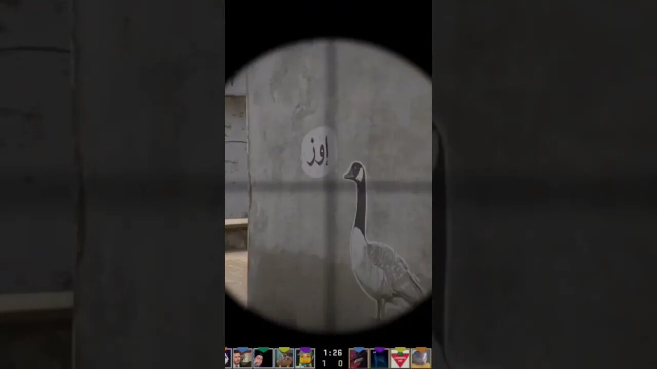 STHAP #csgo