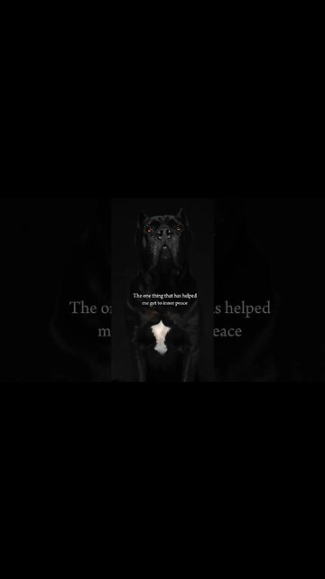 The One Thing My Dog Helped Me Get... #shorts #dogsofinstagram