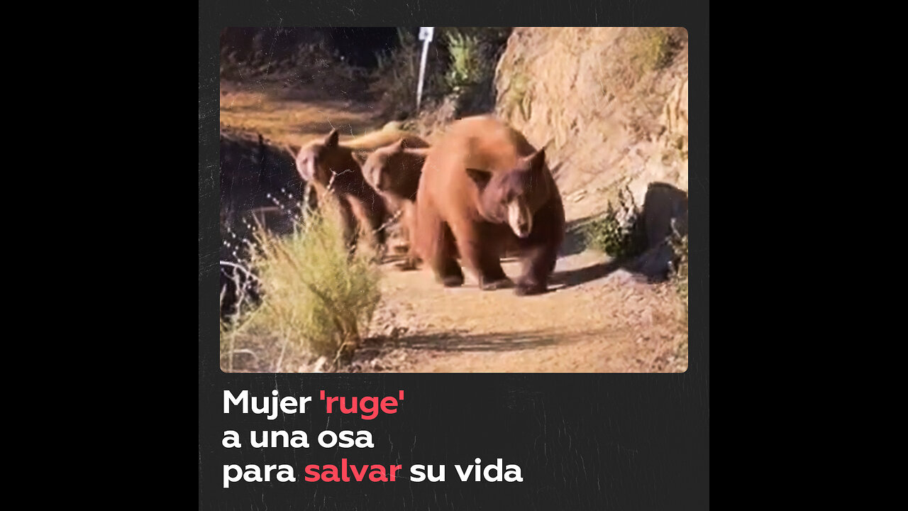 Mujer se topa con una osa y ‘ruge’ para salvar su vida