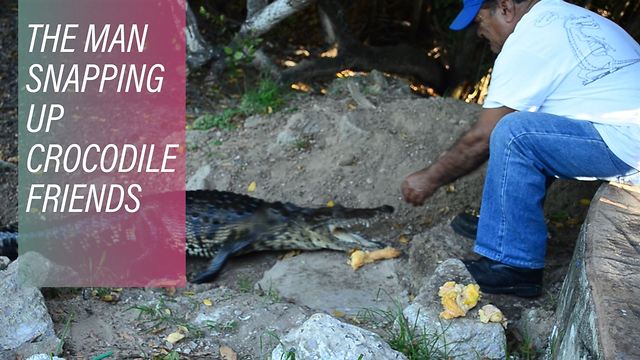 The crocodile whisperer