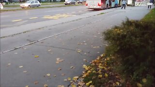 Ce chien attend sa maîtresse à l'arrêt de bus, sa réaction est adorable!