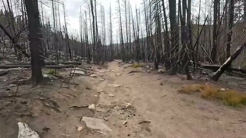 5 & Emmaline Lake * Comanche Peak Wilderness