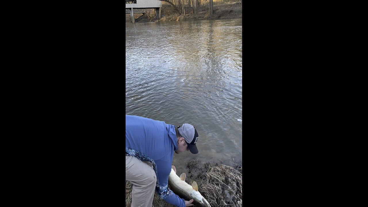 Big Musky Release (SHORT)