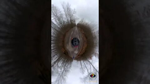 BOLINTIN Forest winter ride, Giurgiu | #shorts #short | 🇷🇴