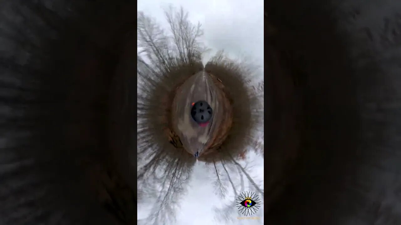 BOLINTIN Forest winter ride, Giurgiu | #shorts #short | 🇷🇴
