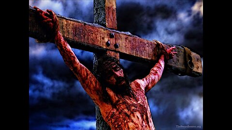 Watchman44 News - Allah Rising - November 6, 2023