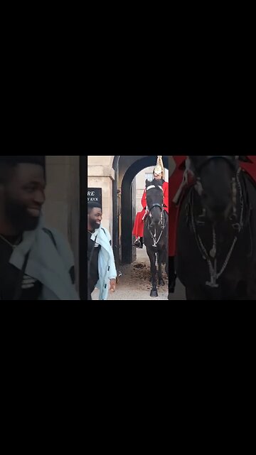 Tourist gets more than a photo horse's bites #horseguardsparade