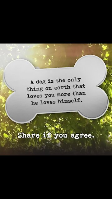 Dog loves you more than himself [GMG Originals]