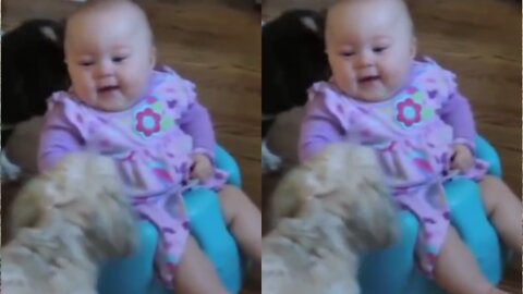 Baby laughing too much ! Dog stares at her