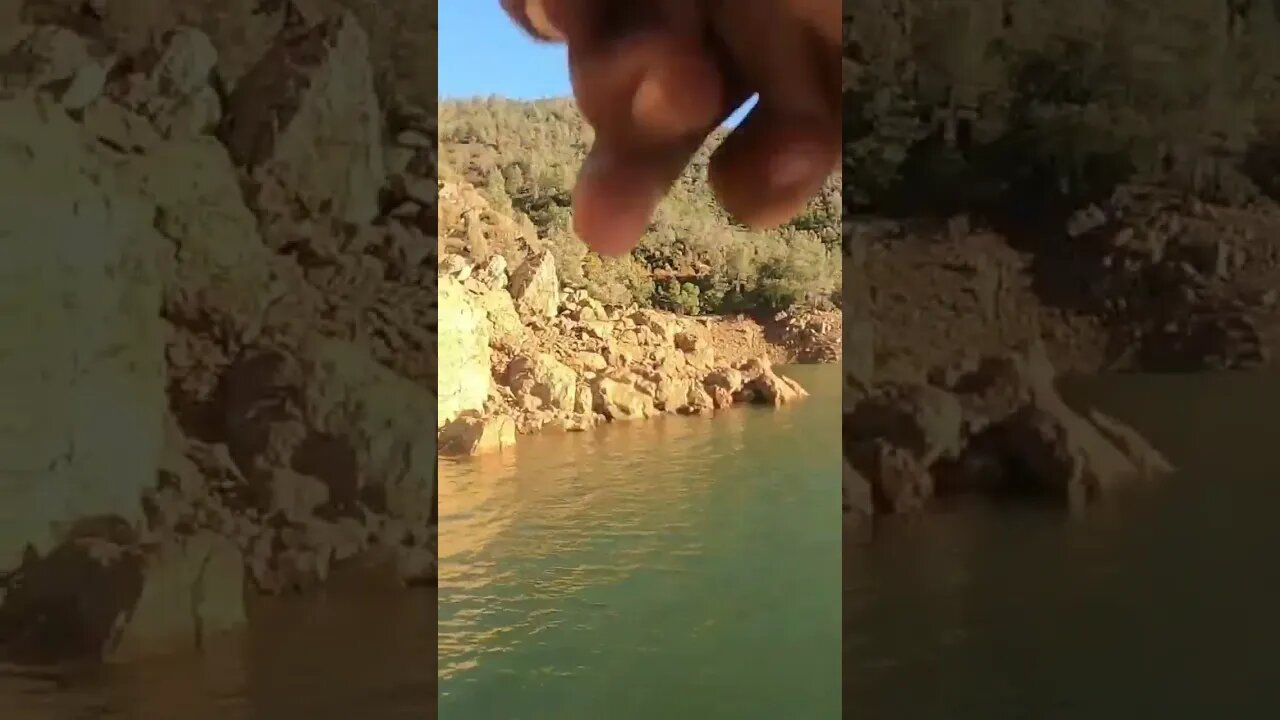 Double Digit Bass Cast To Catch With 60 Dollar Wal-Mart Combo!!