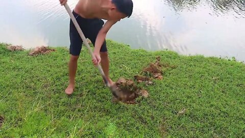 Making Trap To Catch Catfish In The Secret Hole With PVC Pipe & Chicken Eggs-1