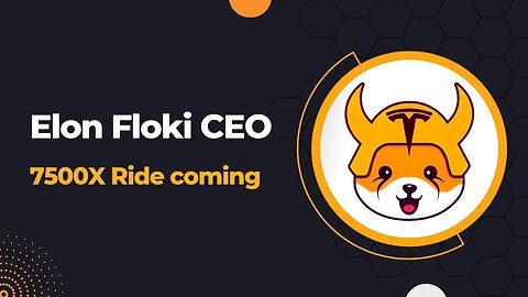 Elon Floki CEO - Next 7500X Memecoin - New Crypto Memecoin launch - Potential or not?