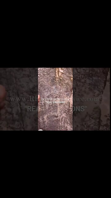 "Real solutions" REIGuideService.com