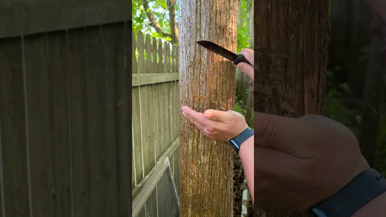 Eastern Red Cedar Tinder