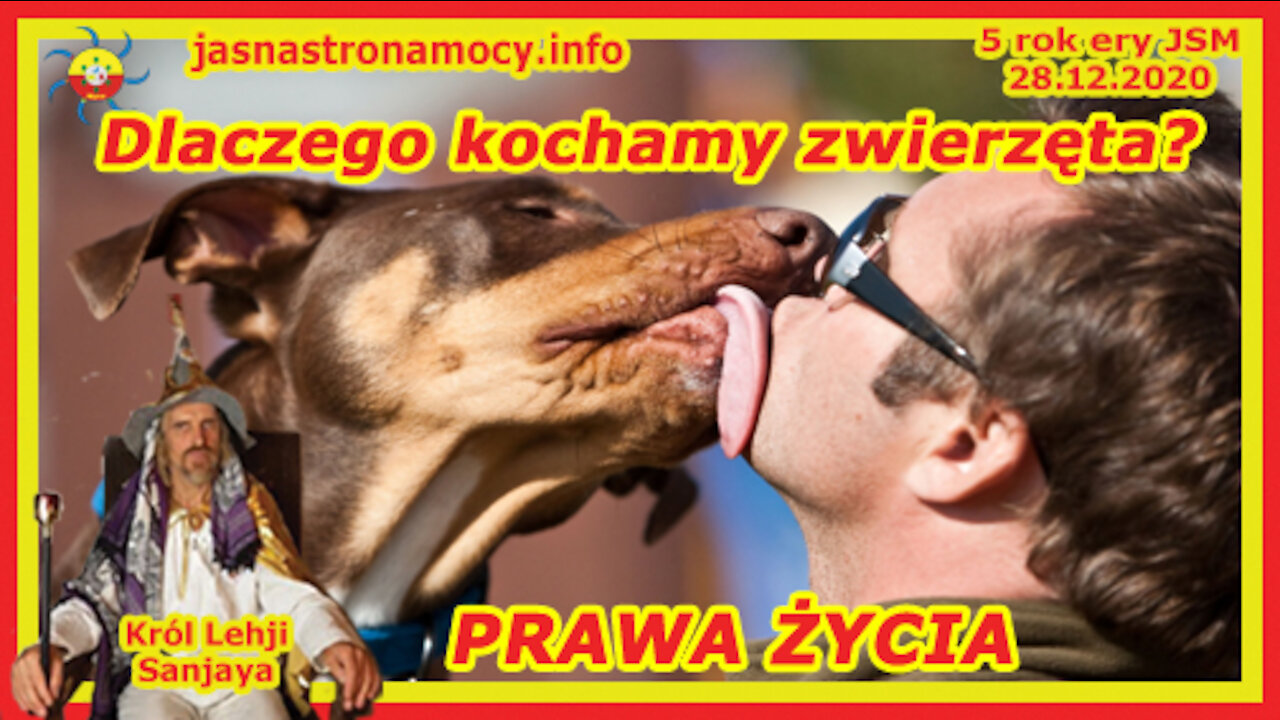 Dlaczego kochamy zwierzęta PRAWA ŻYCIA