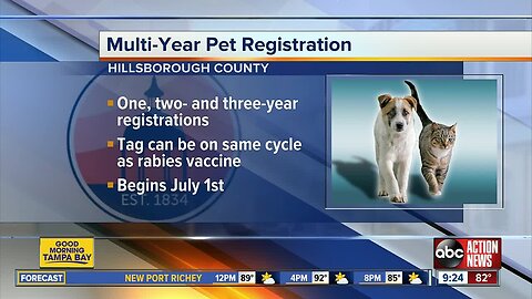 Hillsborough Co. now offering multi-year pet registration