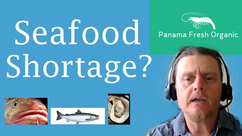 Seafood Shortage
