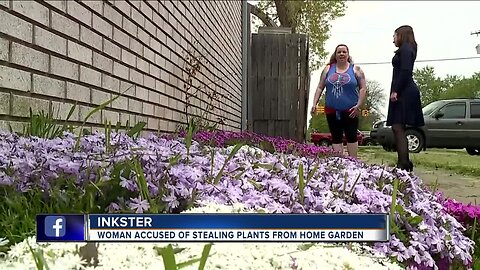 'It makes me feel victimized and targeted. Because why me?' Blossom bandit steals plants from woman's home