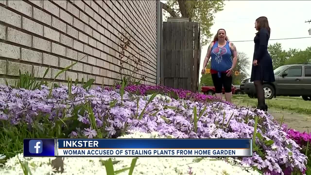 'It makes me feel victimized and targeted. Because why me?' Blossom bandit steals plants from woman's home