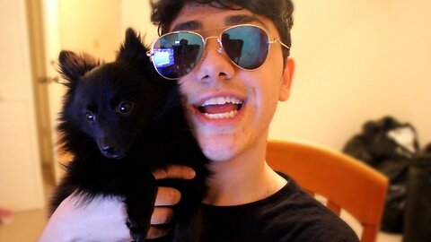 I GOT A PUPPY! - Boo the baby Polmeranian