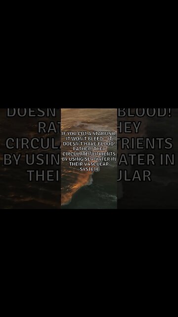 Incredible Random Facts That Will Expand Your Mind! [2023] #shorts #facts #viralshorts #fyp #life