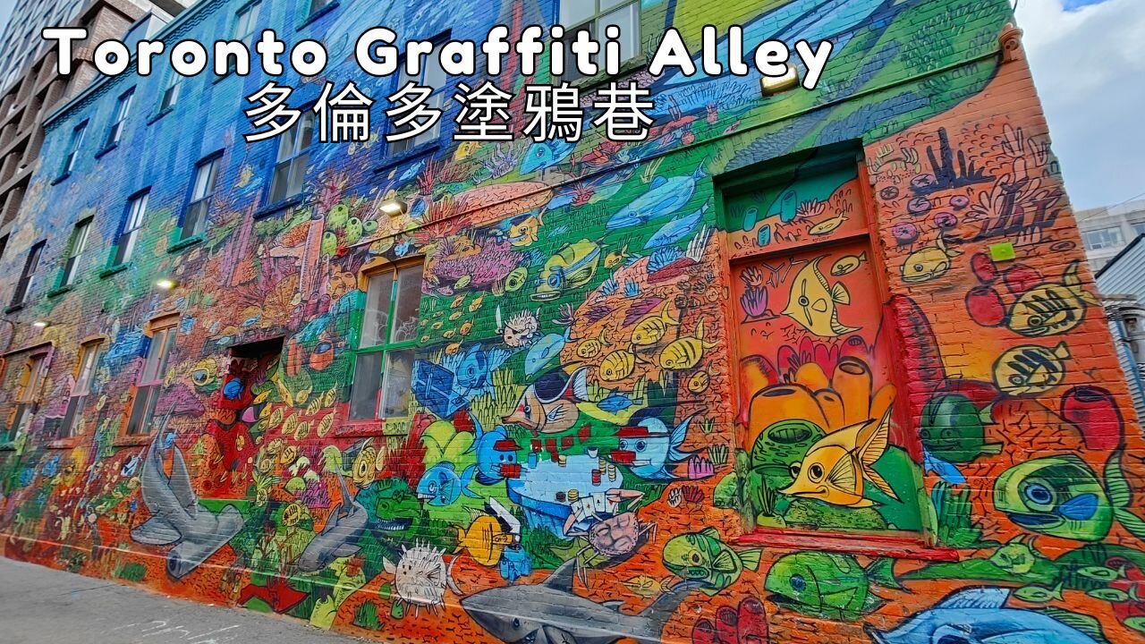 Toronto Graffiti Alley