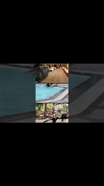 #thailandgetaway #bangkoktravelguide #bangkoktravelguide #tranding #malaccaheritage