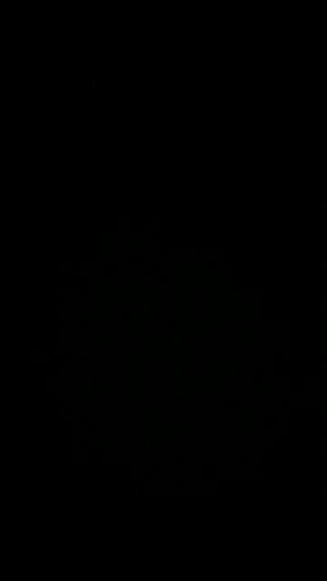 Dough Nation: How obesity has wrecked America 🍩 🍕 🇺🇸