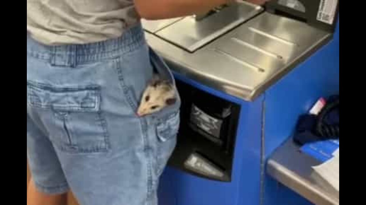 Man goes to supermarket with his opossum in Texas