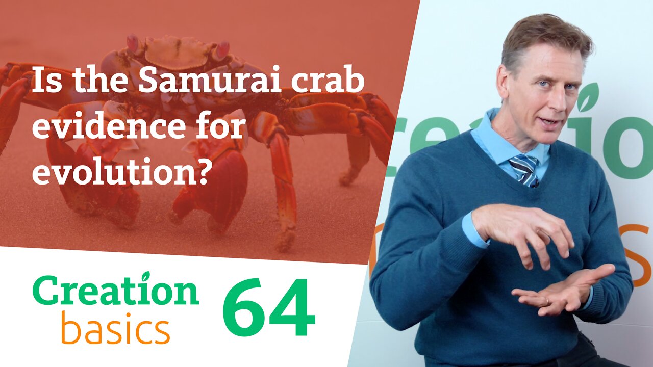 Is the Samurai crab evidence for evolution? (Creation Basics, Episode 64)