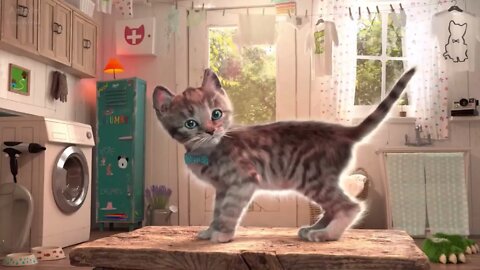 Fun Pet Care Game - Little Kitten Adventures (New Update) - Play Costume Dress-Up Party Gamepaly