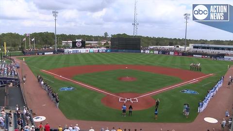 Rays, Major League Baseball honor school shooting victims