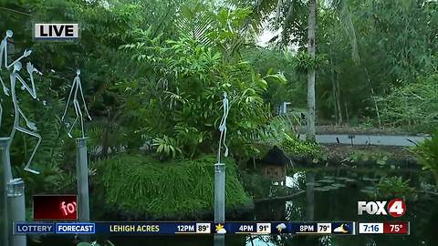 Reflections on Glass exhibition opens at Naples Botanical Garden - 7am live report