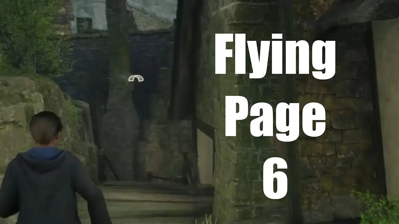 Hogwarts Legacy Flying Page 6