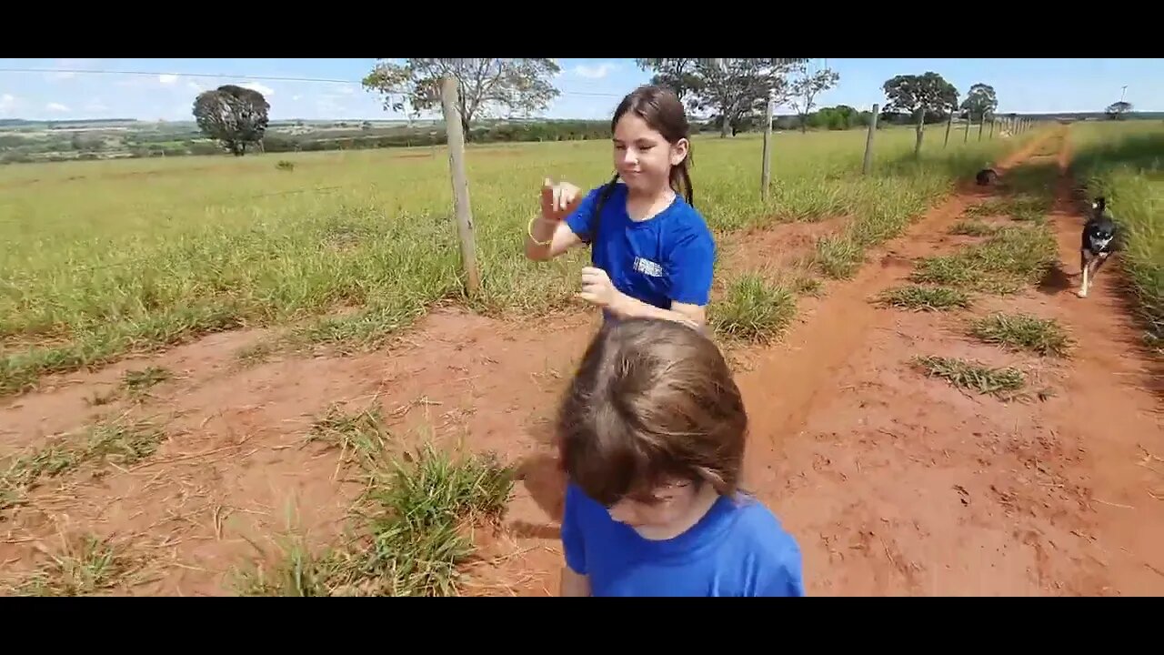 O meteoro gigante