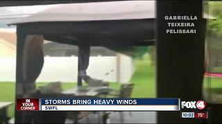 Strong winds cause issues in Lee County Tuesday night