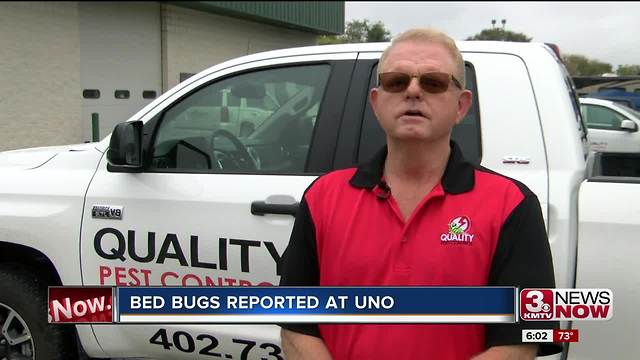 UNO investigates possible bed bug report 6pm