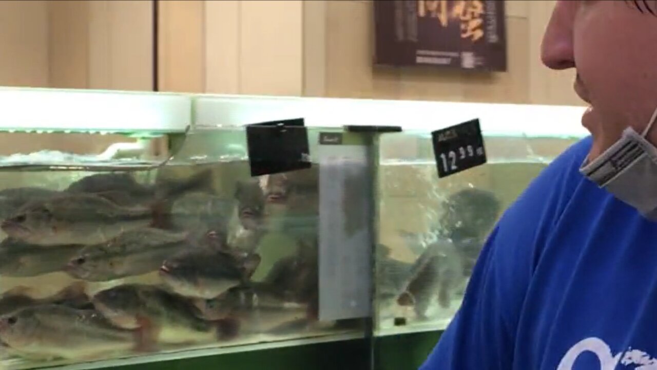 Foreigner's First Visit to a Chinese Seafood Market: Amazed by the Variety of Seafood!