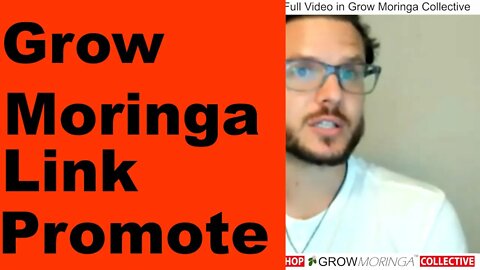 Grow Moringa Affiliate Sellers Link Earns Money From Moringa Sales Get Cash Back Drop-Ship Strategy