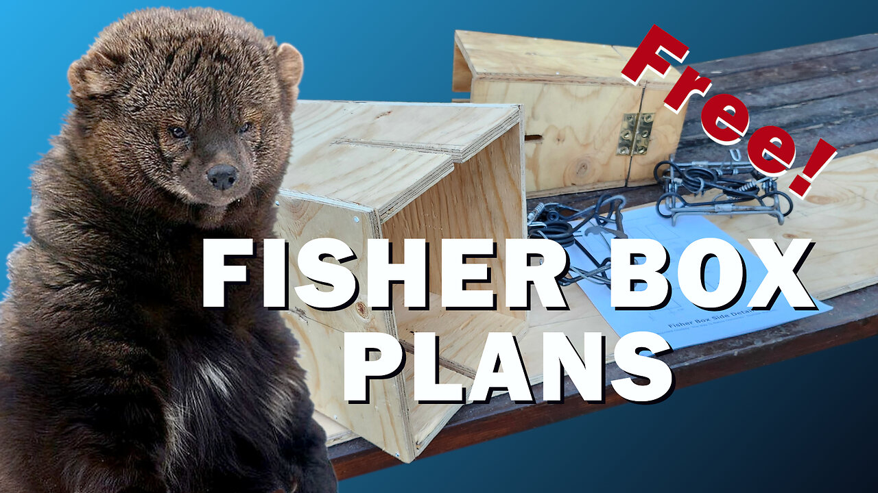 How To Make FISHER Boxes For Trapping - FREE Plans!